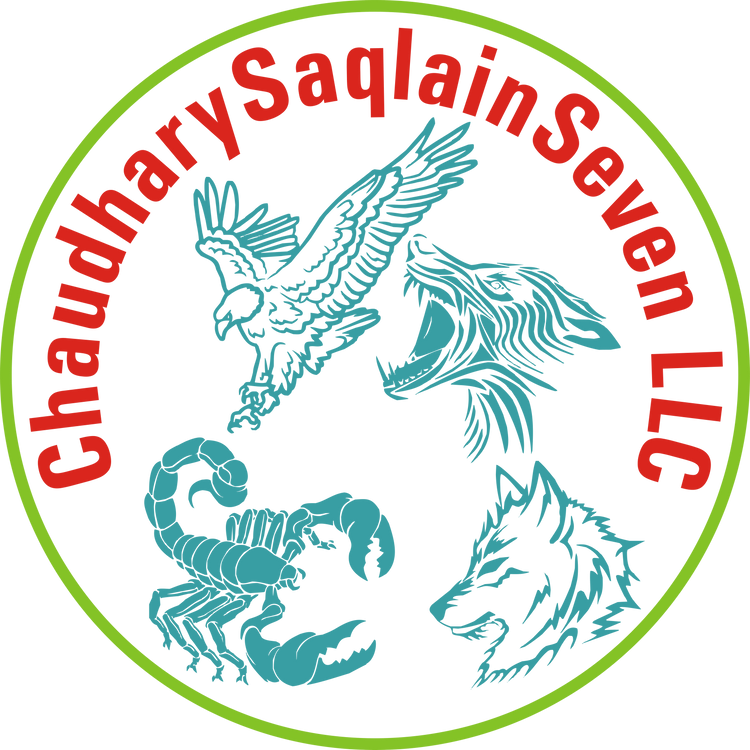 ChaudharySaqlainSeven LLC Transparent LOGO 5000MP