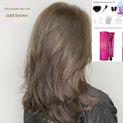 Ammonia-free Hair Color Paste Monochrome Paste Cover White Hair Multi-segment Color One-step Black Tea Gray Blue Black Hair Dye