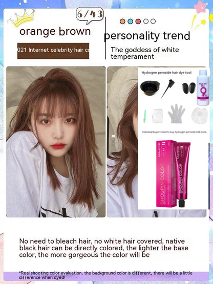 Ammonia-free Hair Color Paste Monochrome Paste Cover White Hair Multi-segment Color One-step Black Tea Gray Blue Black Hair Dye