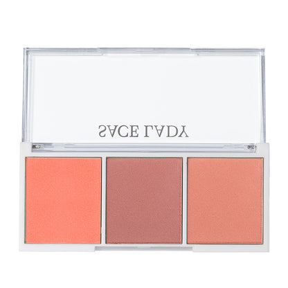 3 Color Blush high gloss repair plate