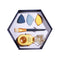 Beauty Egg Box Storage Box Elegant Makeup