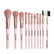 Pink makeup brush set powder eyeshadow blend