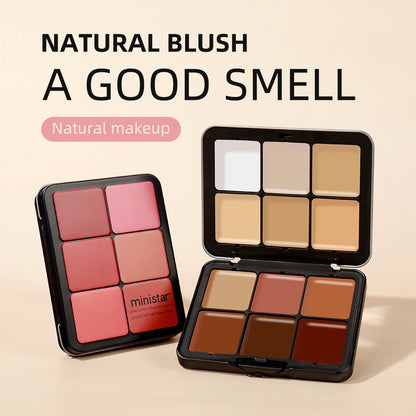 Skin Color Multicolor Rouge Compact Concealer Plate