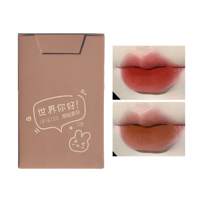 Matte Long-lasting Easy To Color Easy To Match Lip Lacquer 5 Pieces