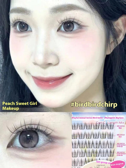 Mrwish Glue-free False Eyelashes New Lazy Trilogy