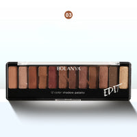 12 Color Earth Tone Brown Eye Shadow Plate