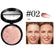 High Gloss Repair Finishing Powder Pearlescent Oil Control