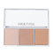 3 Color Blush high gloss repair plate