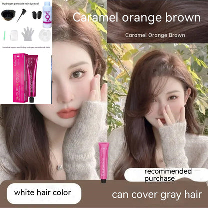 Ammonia-free Hair Color Paste Monochrome Paste Cover White Hair Multi-segment Color One-step Black Tea Gray Blue Black Hair Dye