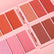 Blusher Plate Highlight Contour Compact Brighten Face