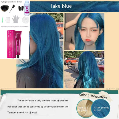 Ammonia-free Hair Color Paste Monochrome Paste Cover White Hair Multi-segment Color One-step Black Tea Gray Blue Black Hair Dye